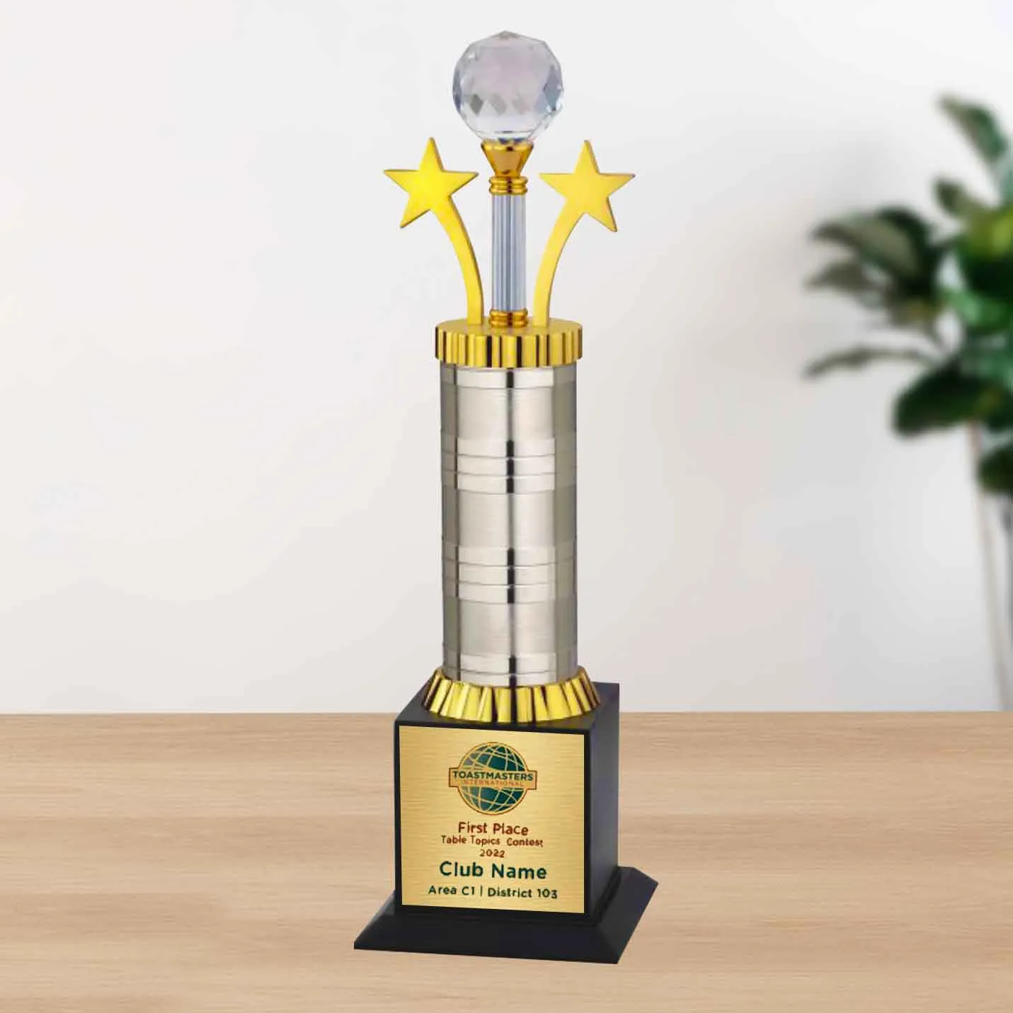 Personalized Star with Diamond Metal Trophy- 