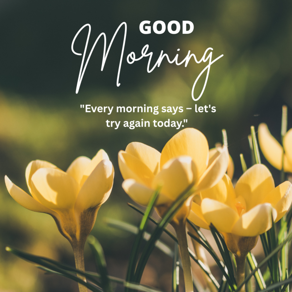 Motivational Good Morning Quotes